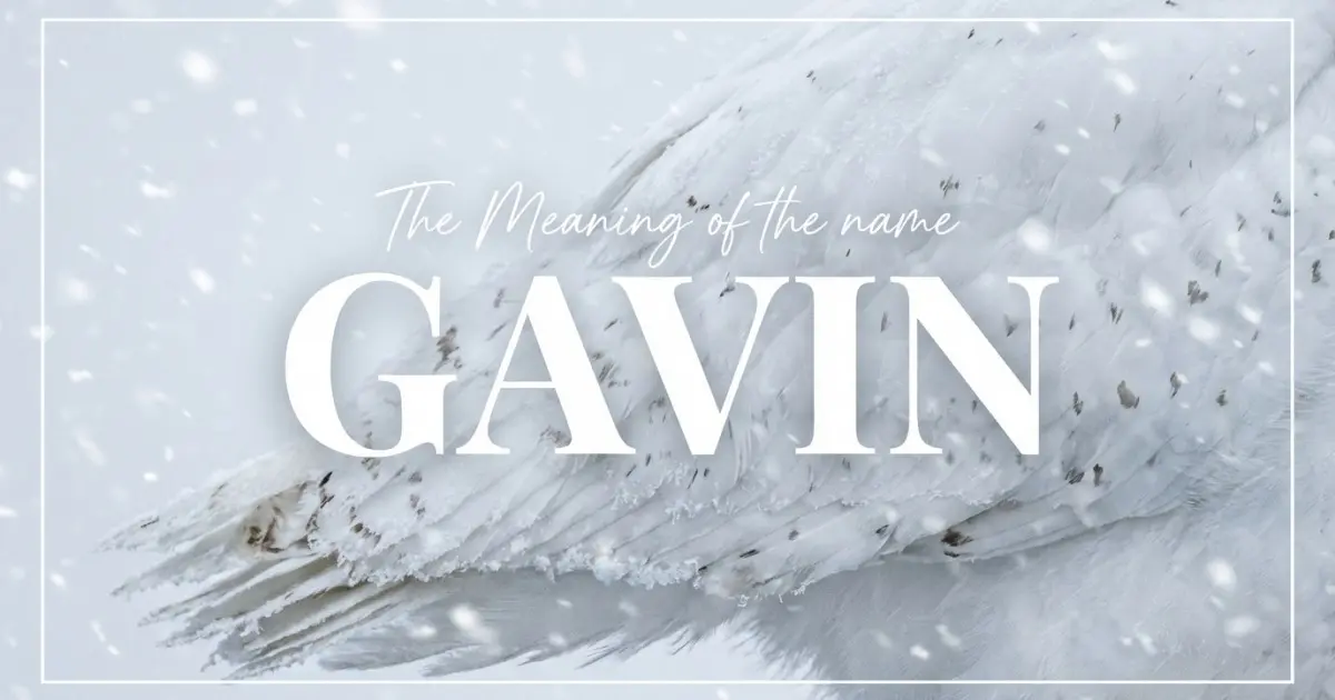 Gavin name meaning