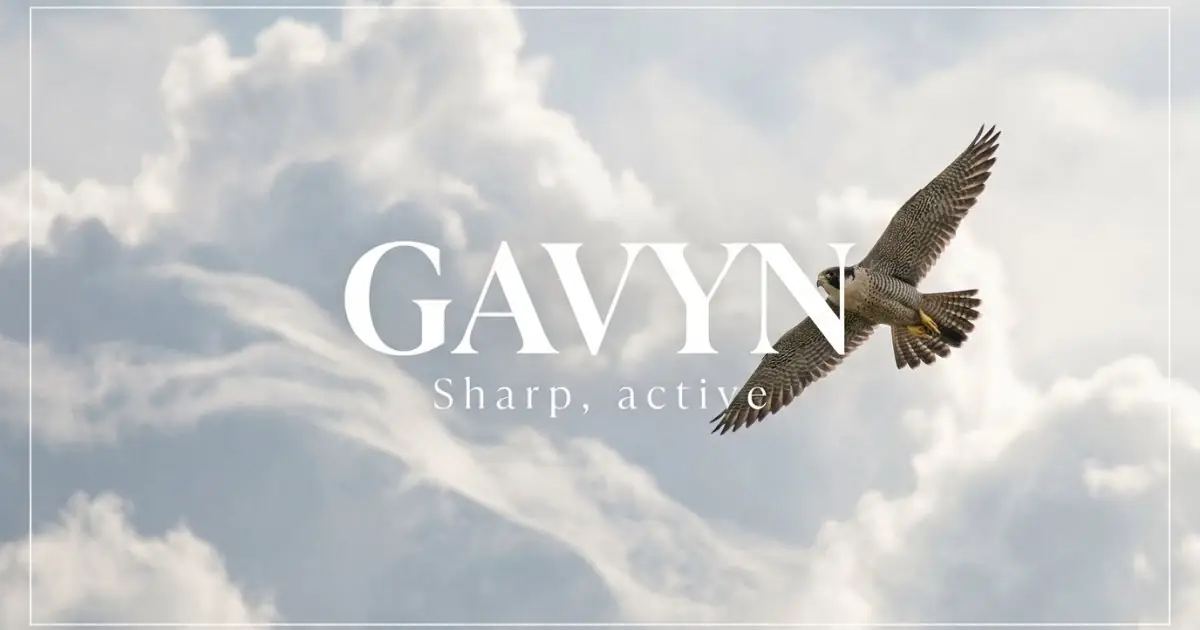 Gavyn name vibe: Sharp, active