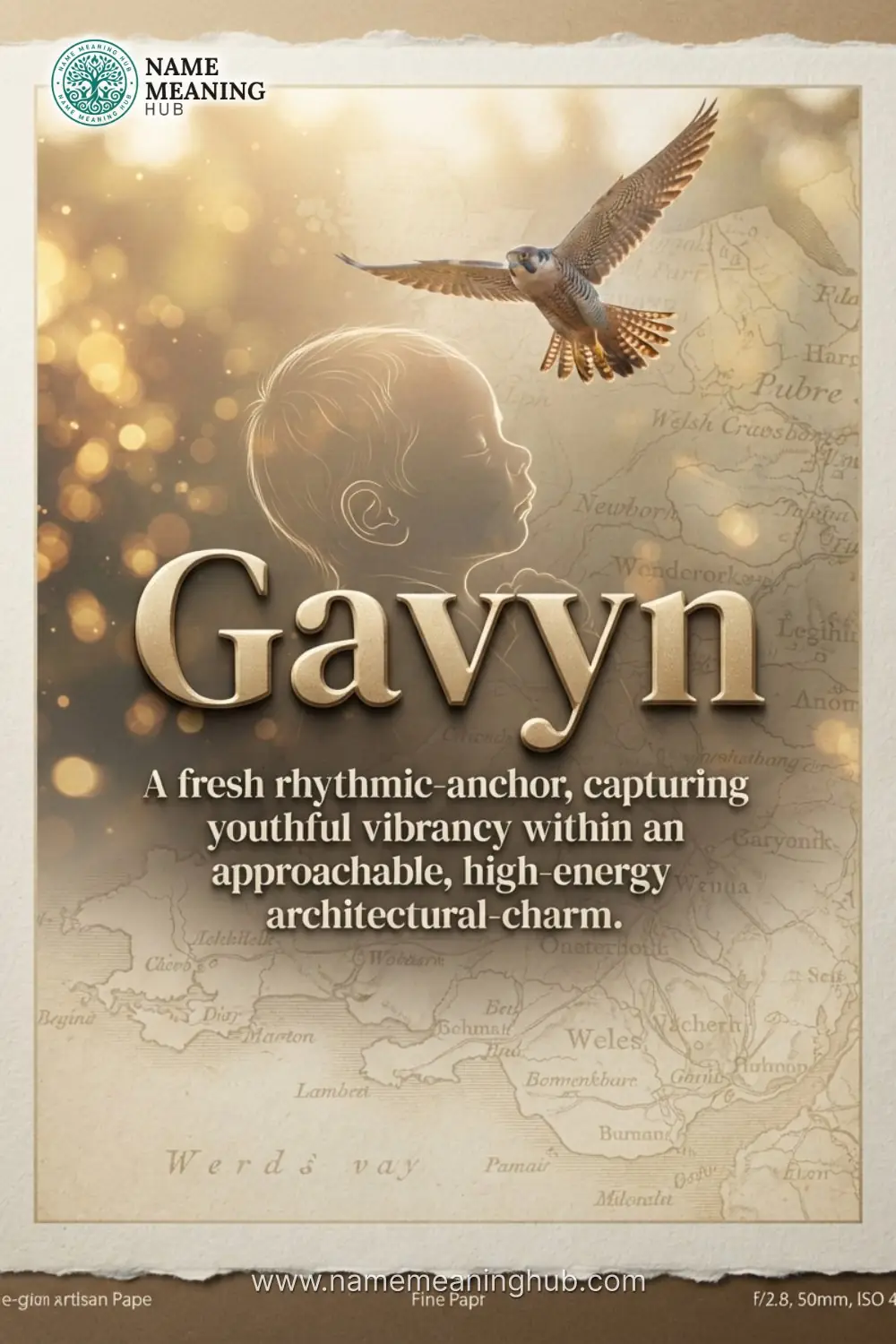 Meaning of the name Gavyn: A fresh rhythmic-anchor, capturing youthful vibrancy within an approachable, high-energy architectural-charm.