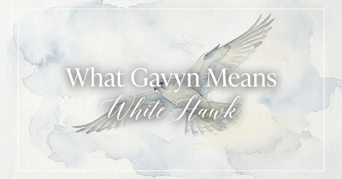 Gavyn name meaning White Hawk