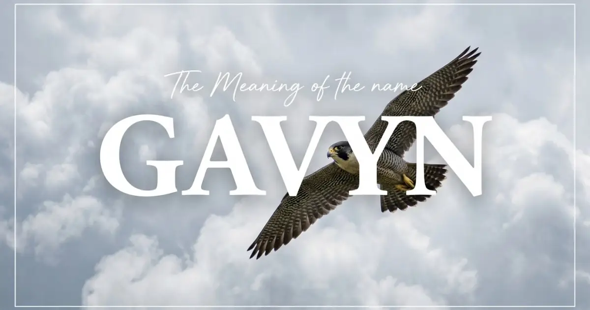 Gavyn name meaning