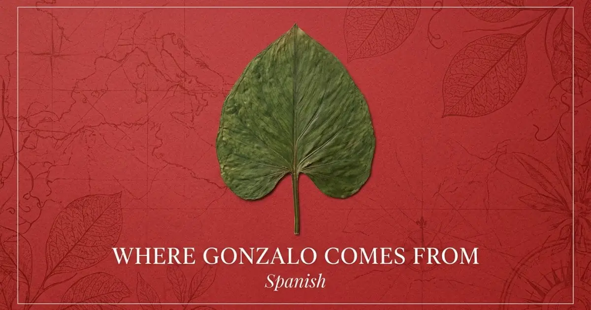 The name Gonzalo comes from: Spanish