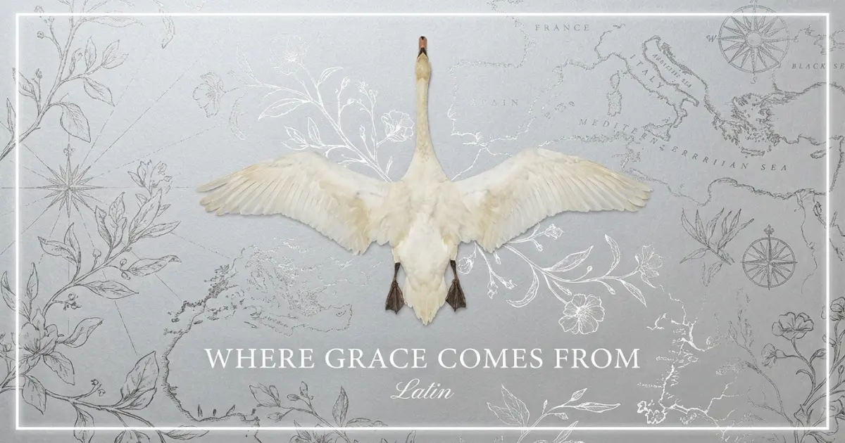 Where Grace Comes From