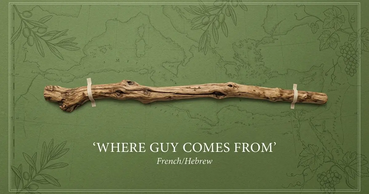 The name Guy comes from: French/Hebrew