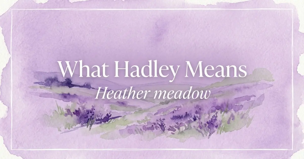 What Hadley Means