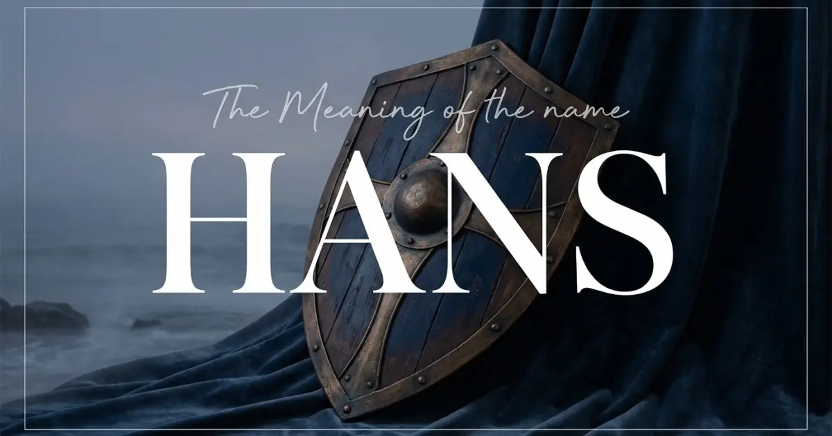 Hans name meaning