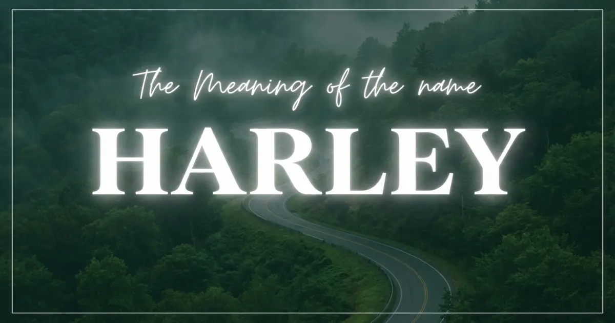 Harley name meaning