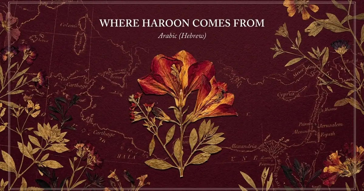 The name Haroon comes from: Arabic (Hebrew)