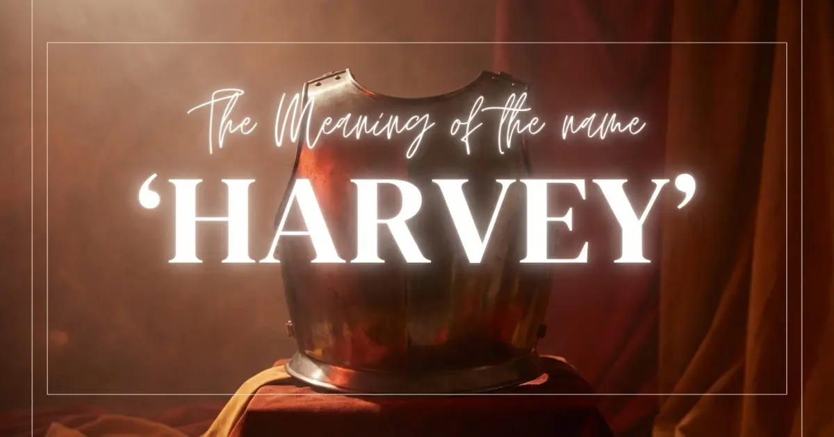 Harvey name meaning