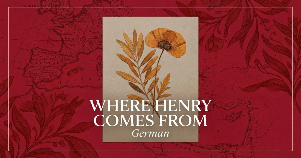 Where Henry Comes From