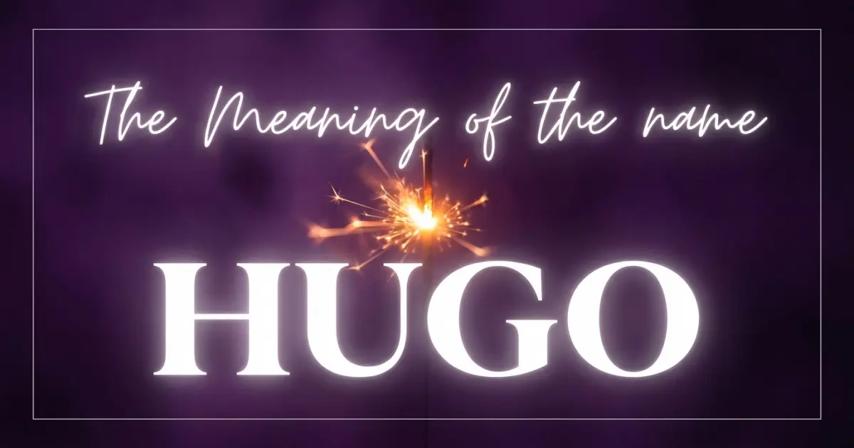 Hugo name meaning