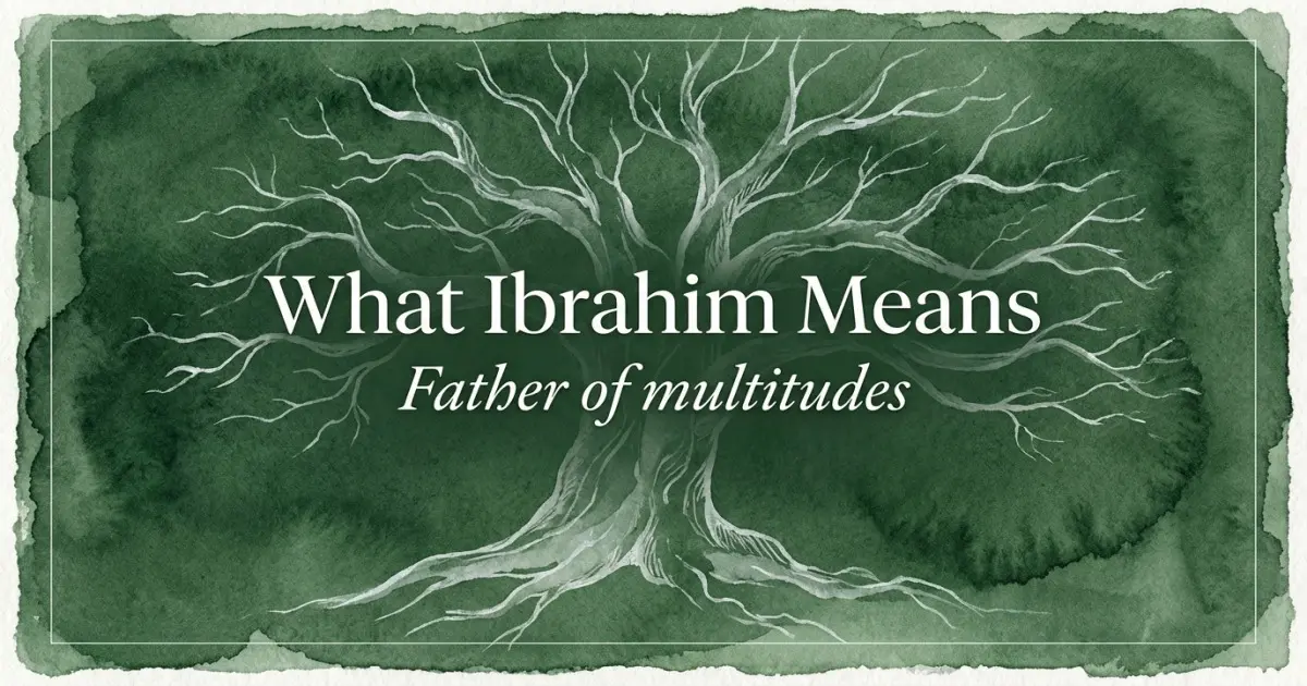 Ibrahim name meaning Father of multitudes