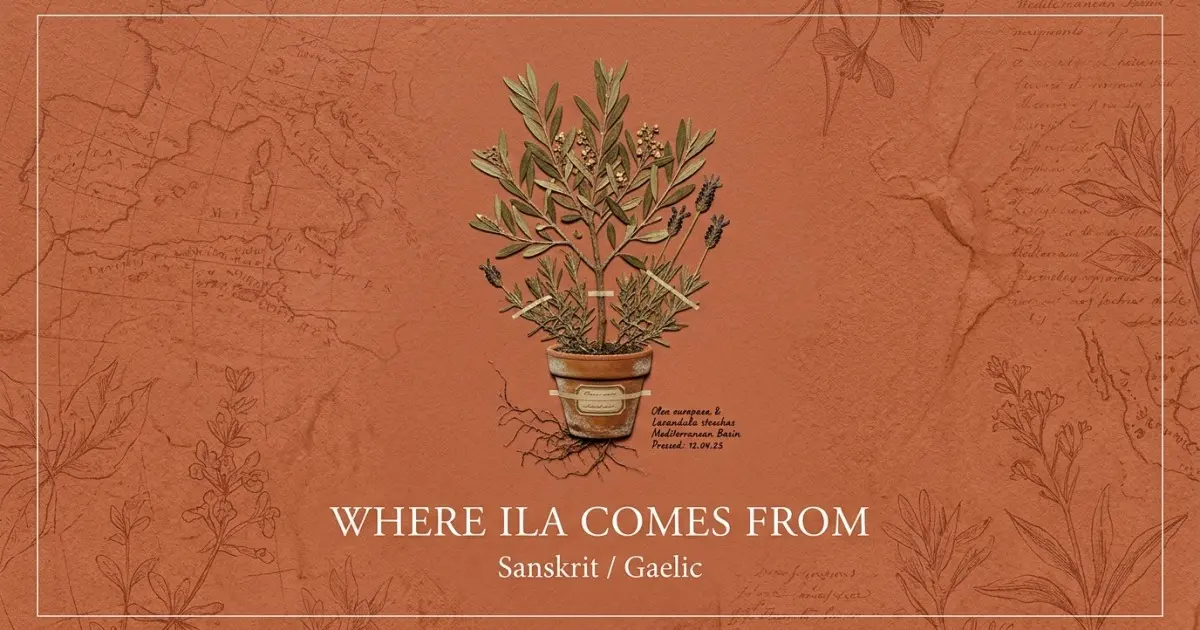 The name Ila comes from: Sanskrit / Gaelic