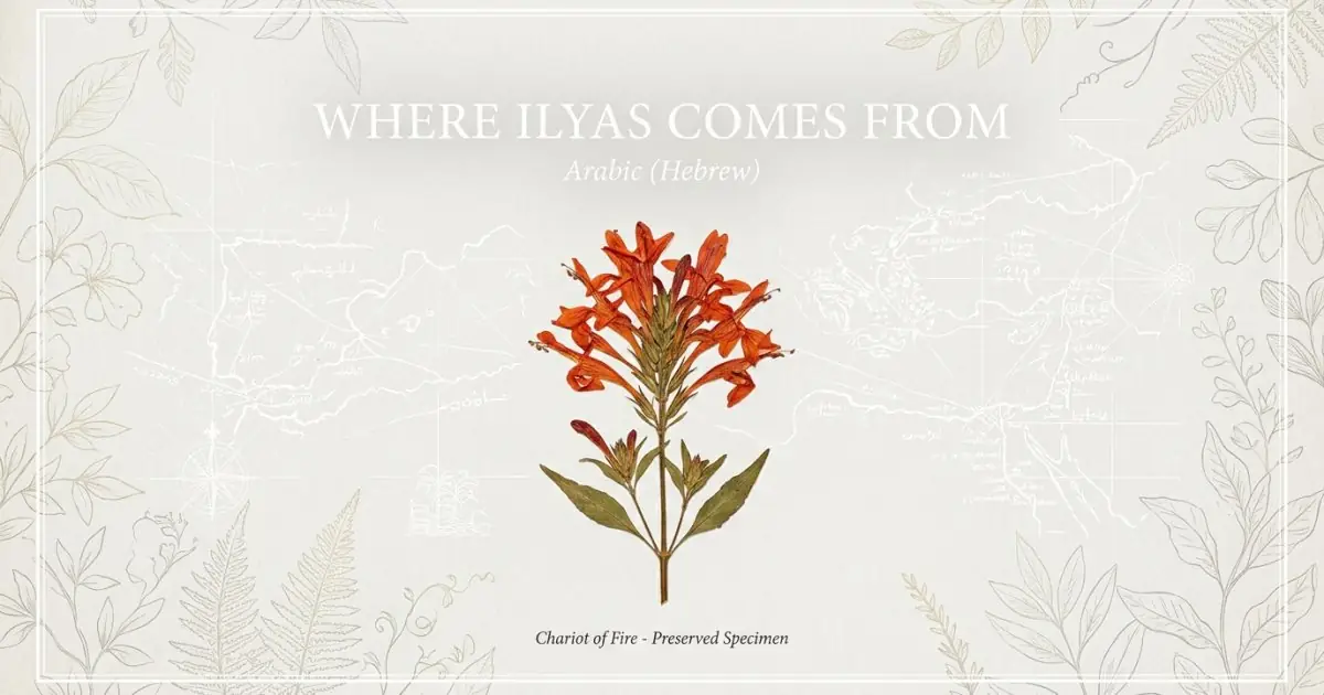 The name Ilyas comes from: Arabic (Hebrew)
