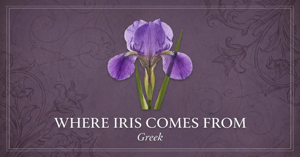 The name Iris comes from: Greek