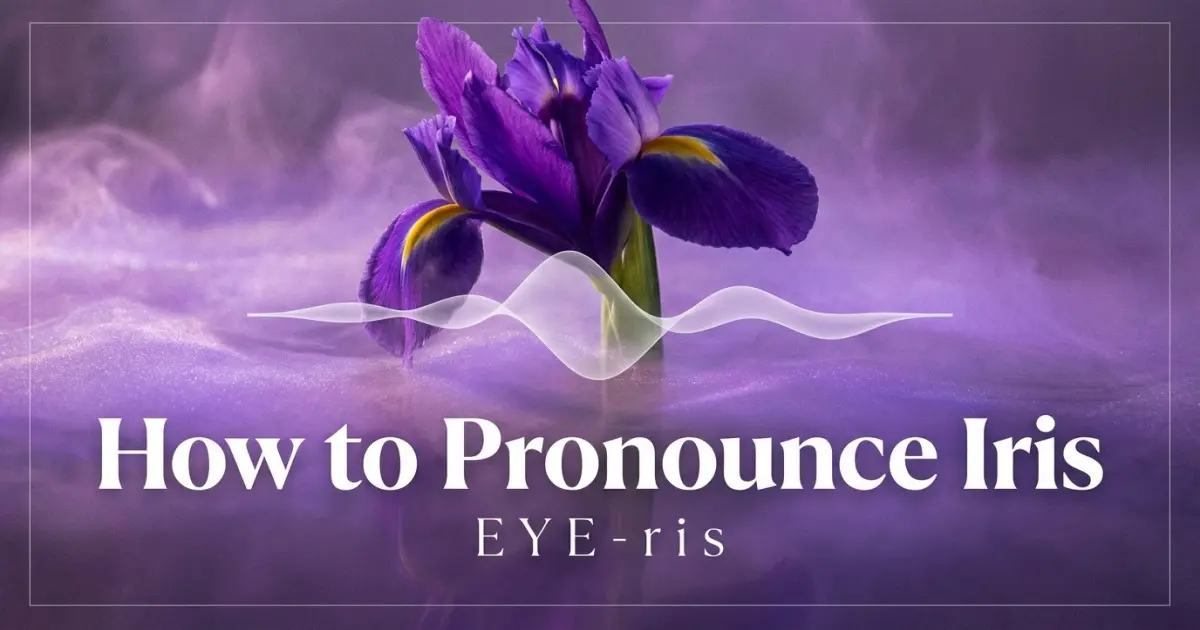 How to pronounce Iris