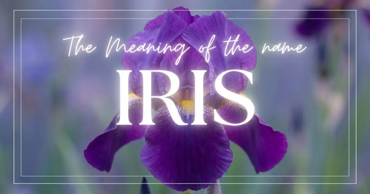 Iris name meaning