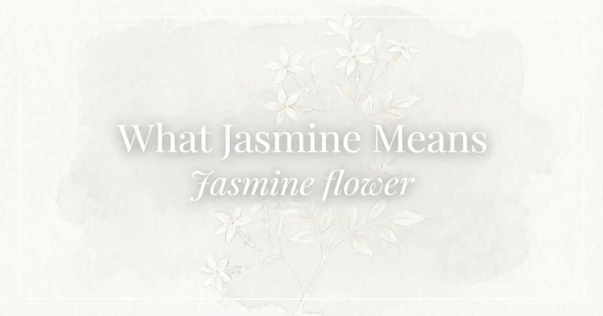 What Jasmine Means