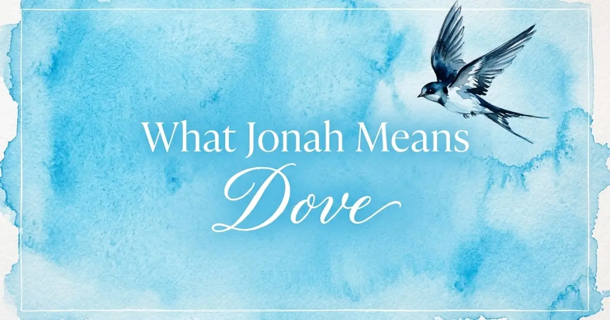 Jonah name meaning Dove