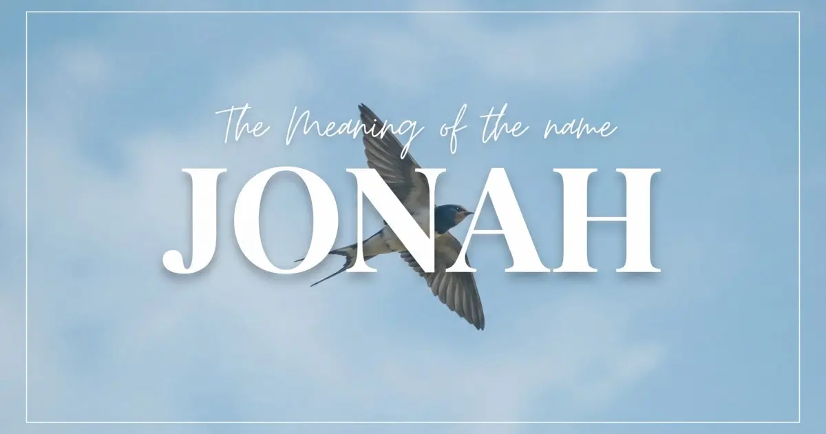 Jonah name meaning