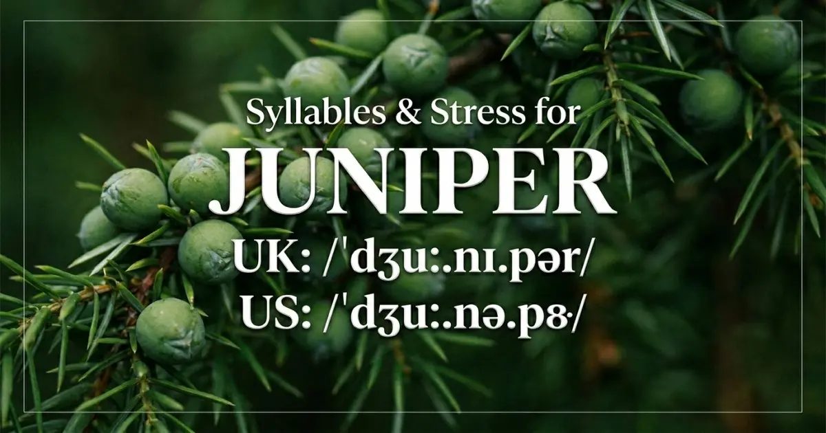 Juniper syllables, stress, and UK and US pronunciation