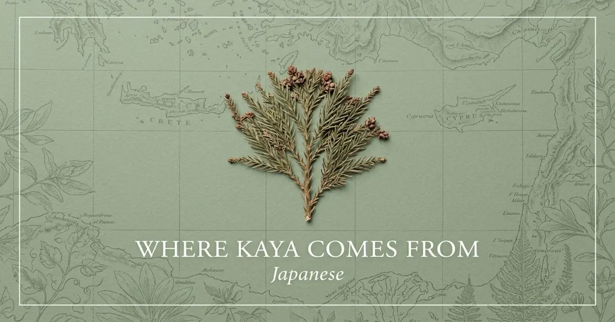 The name Kaya comes from: Japanese