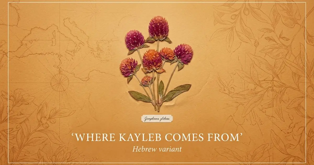 The name Kayleb comes from: Hebrew variant