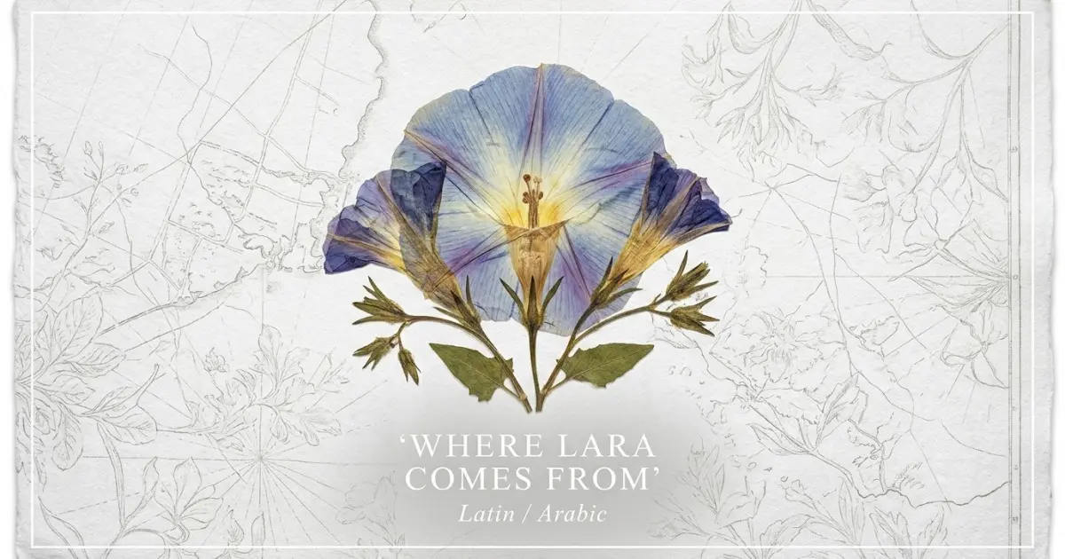 The name Lara comes from: Latin / Arabic