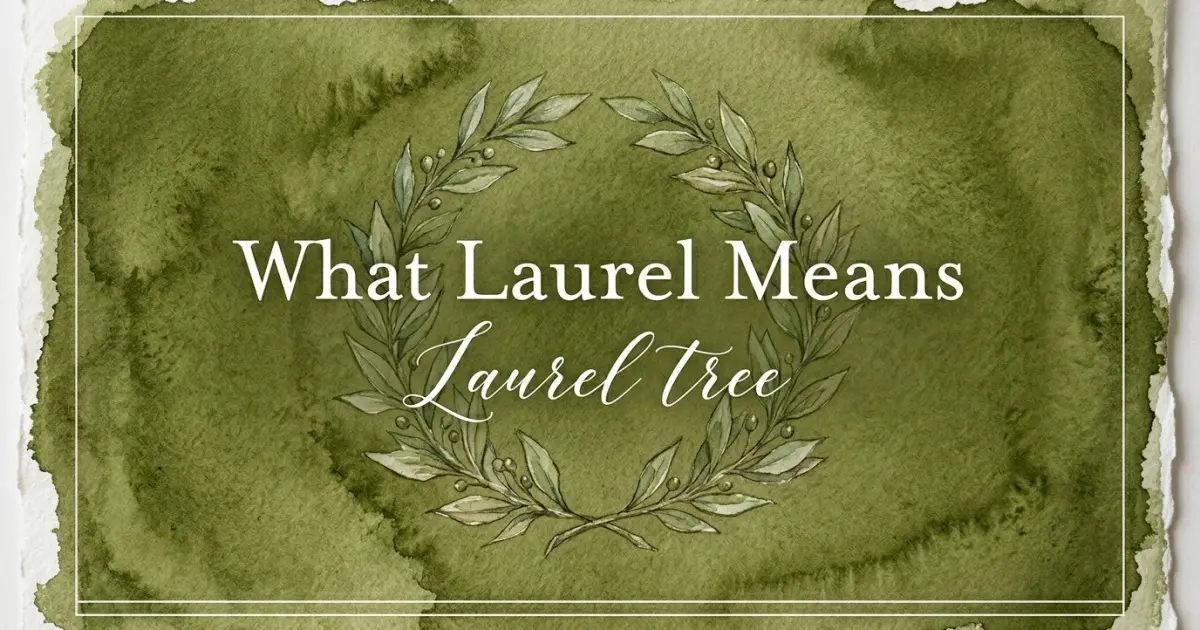 Laurel name meaning Laurel tree