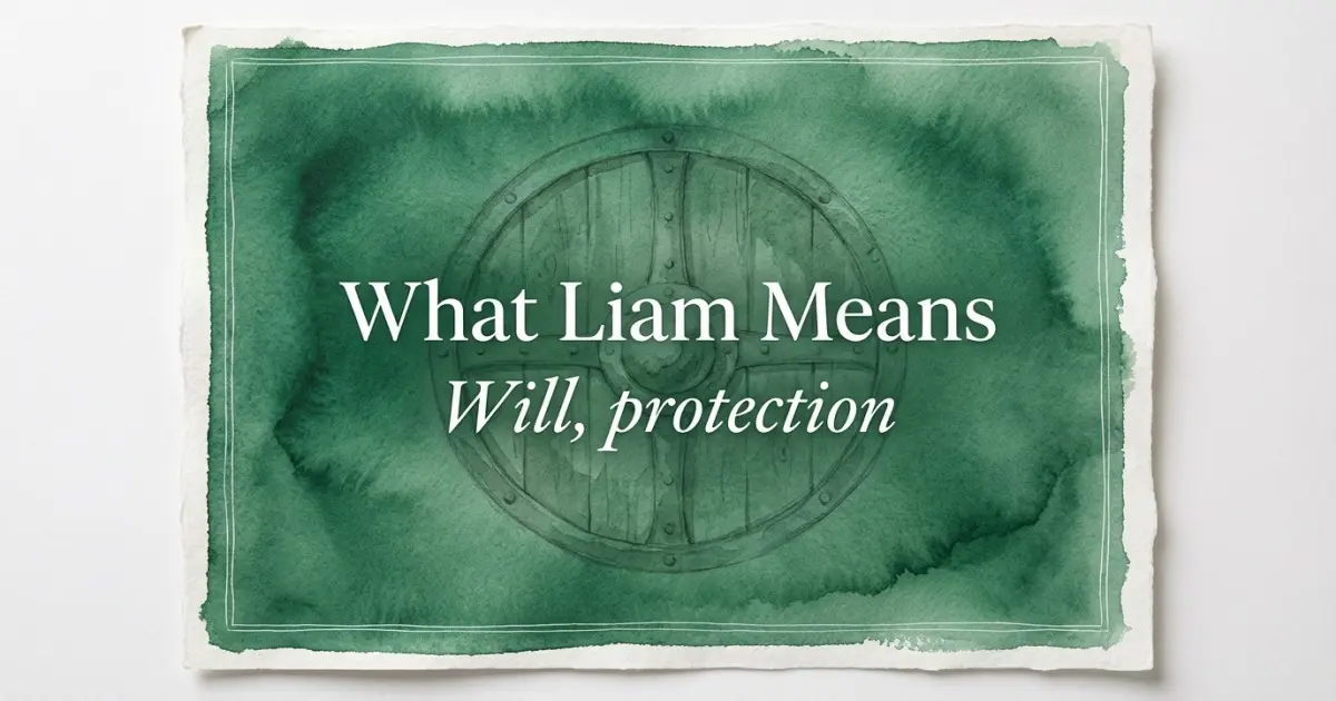 What Liam Means