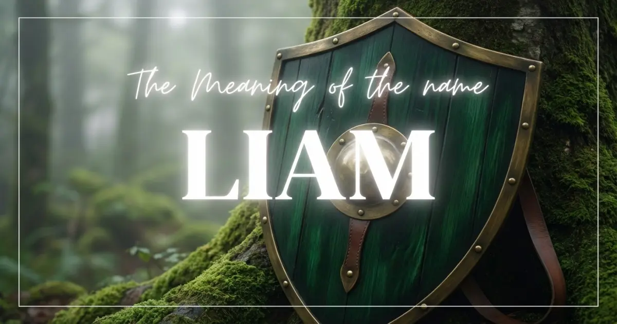 Liam name meaning