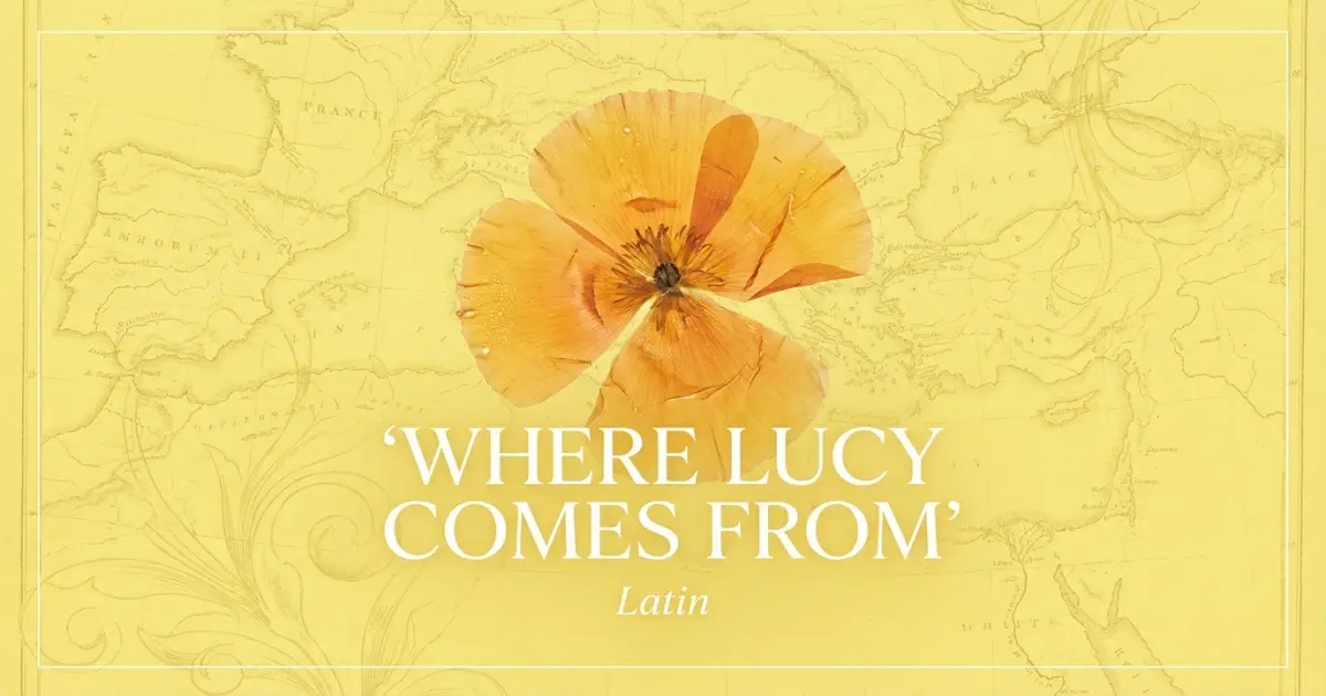 Where Lucy Comes From