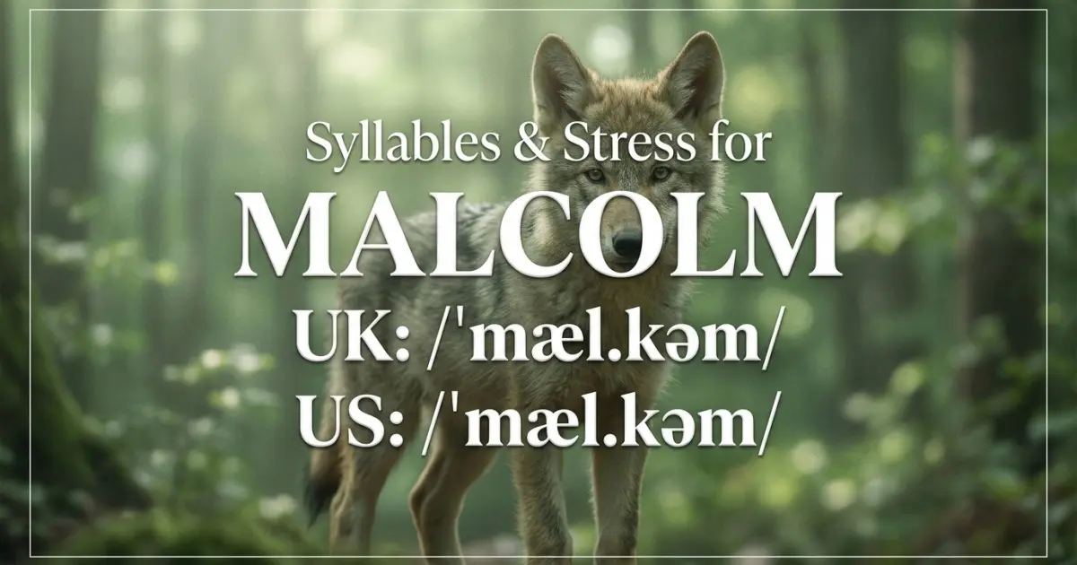 Malcolm syllables, stress, and UK and US pronunciation