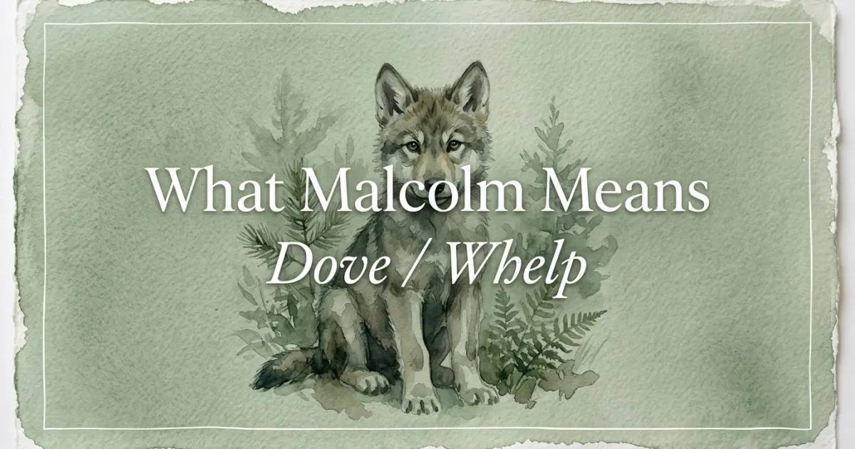 Malcolm name meaning Dove / Whelp