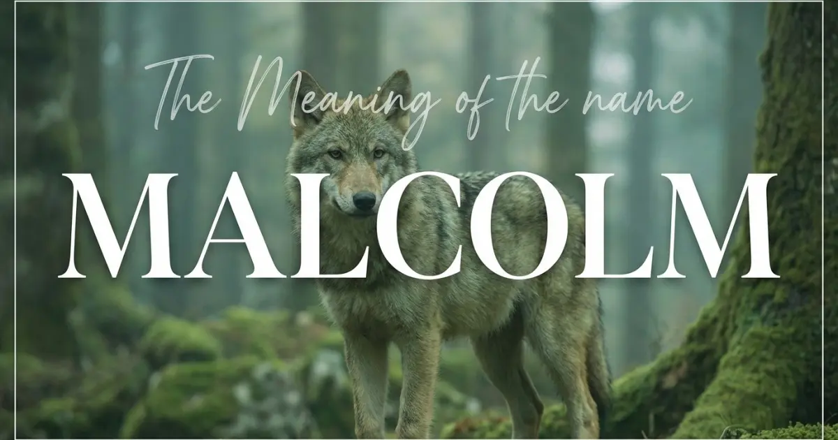 Malcolm name meaning
