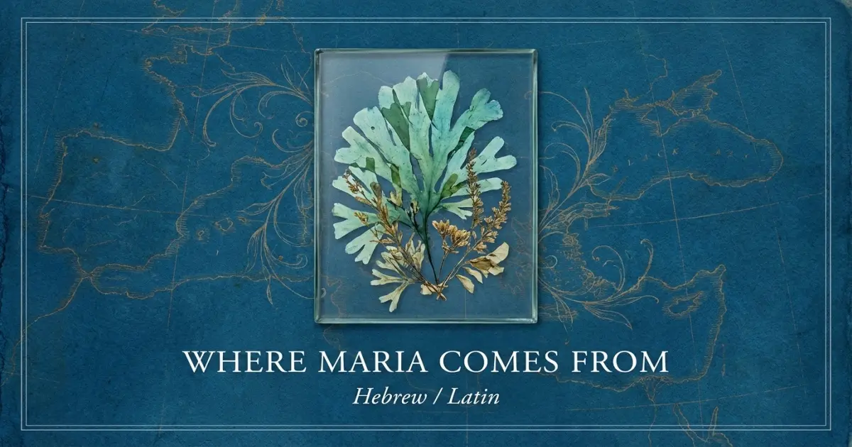 The name Maria comes from: Hebrew / Latin