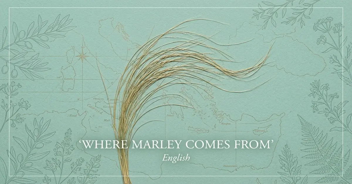 The name Marley comes from: English