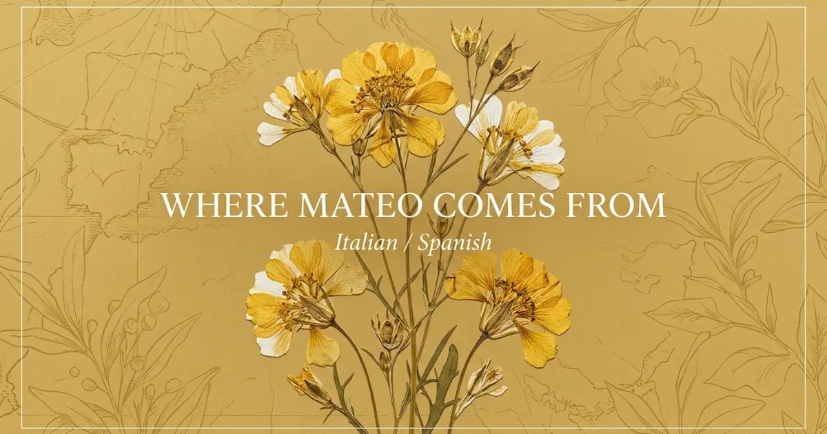 The name Mateo comes from: Italian / Spanish