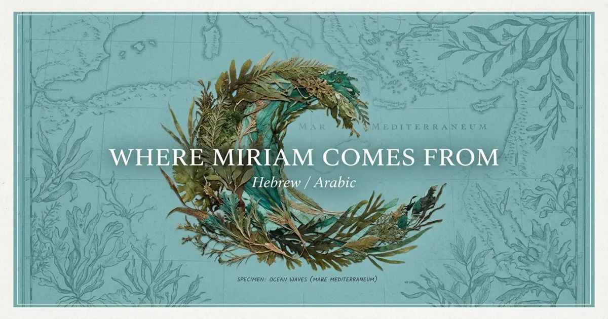 The name Miriam comes from: Hebrew / Arabic