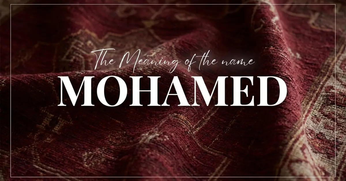 Mohamed name meaning