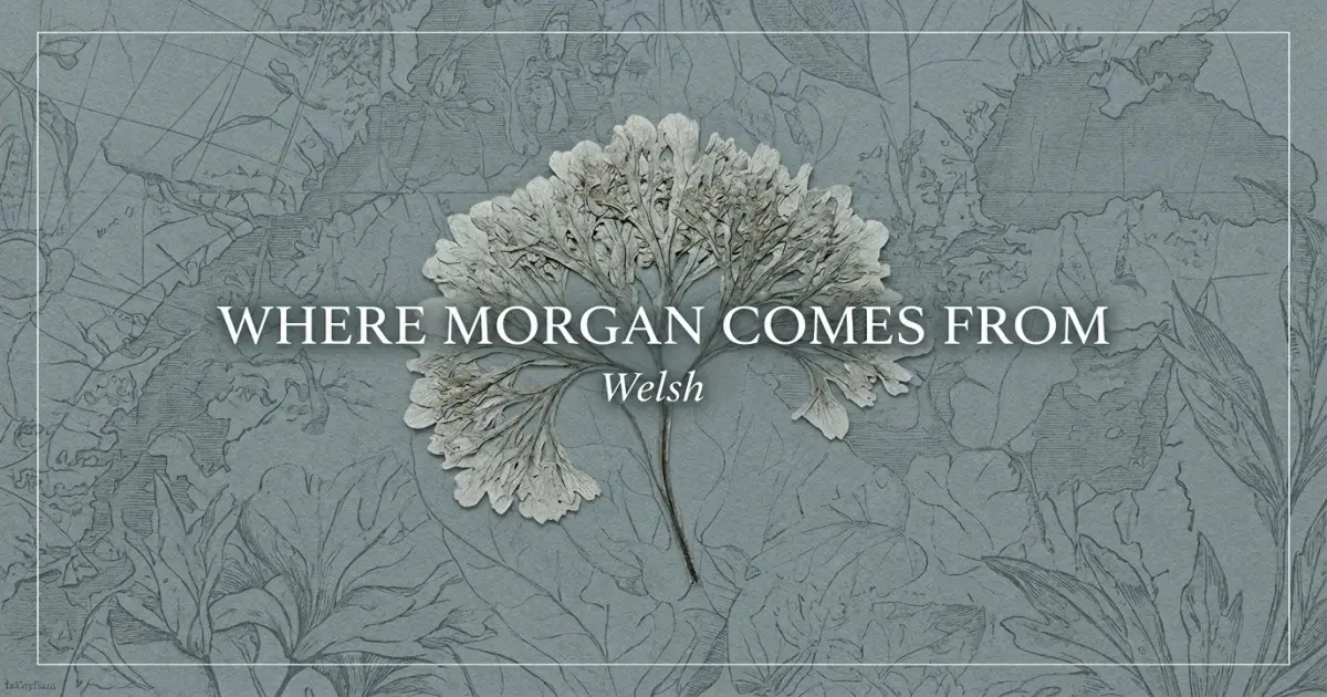 The name Morgan comes from: Welsh