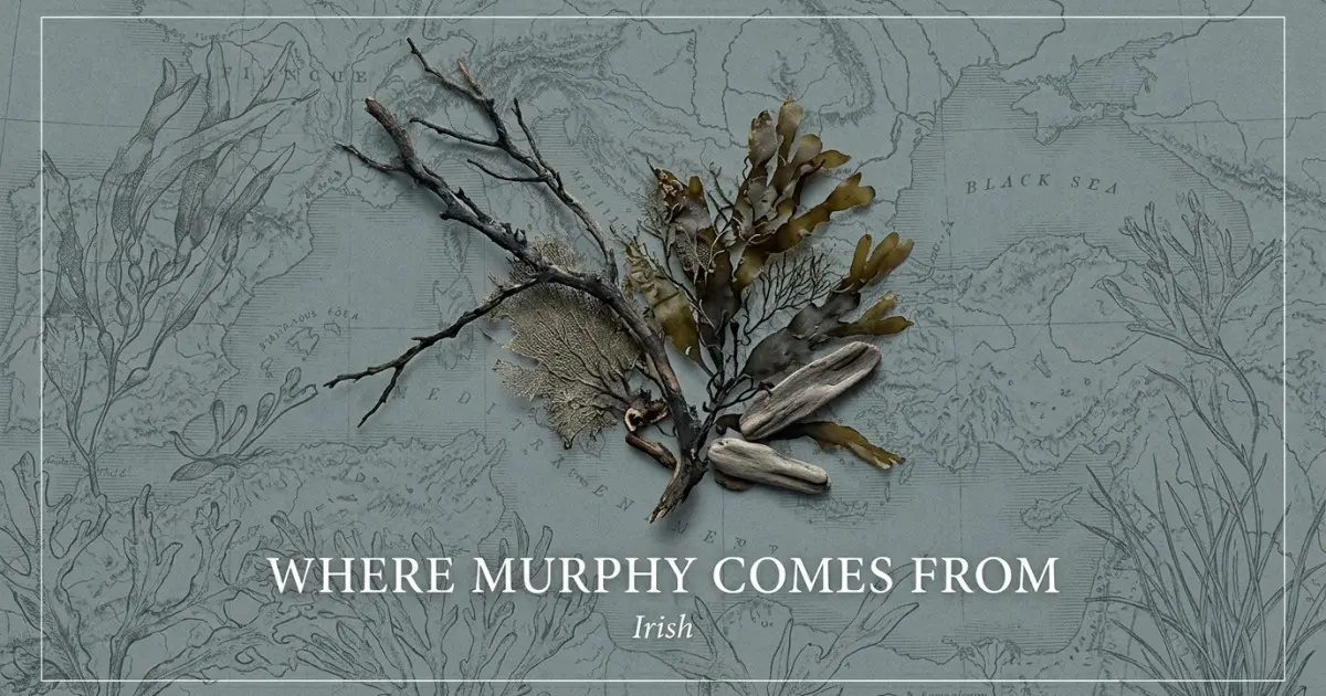 The name Murphy comes from: Irish
