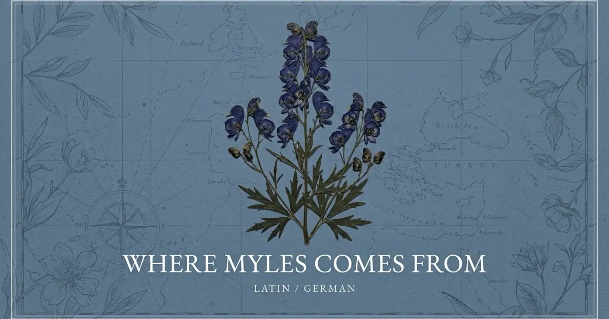 The name Myles comes from: Latin / German