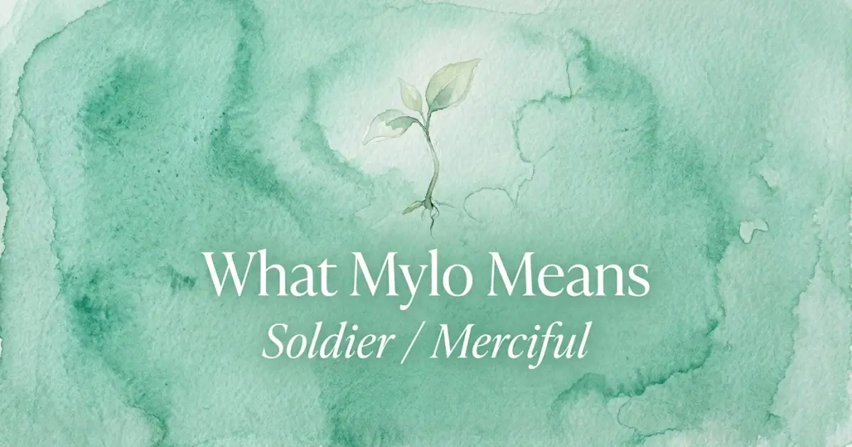 Mylo name meaning Soldier / Merciful