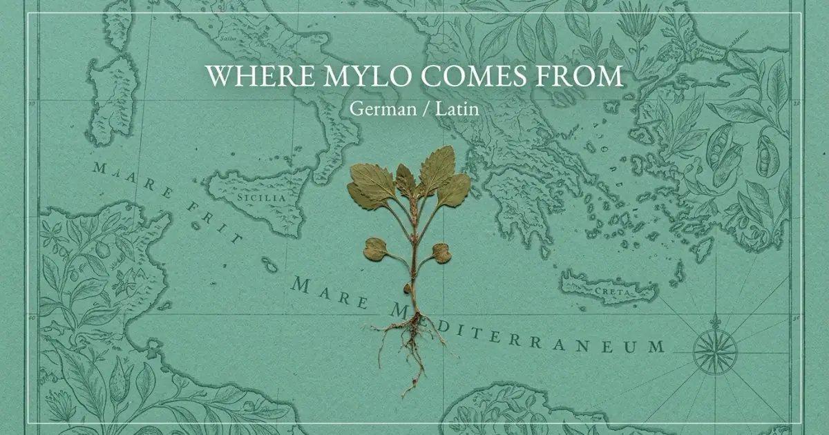 The name Mylo comes from: German / Latin
