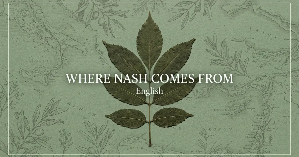 The name Nash comes from: English
