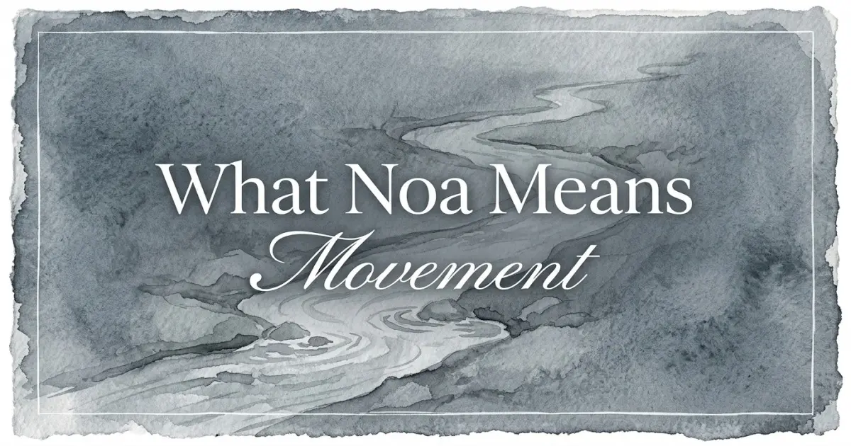 Noa name meaning Movement