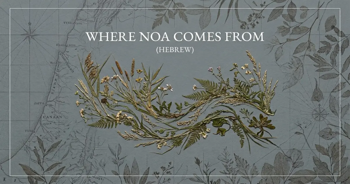 The name Noa comes from: Hebrew