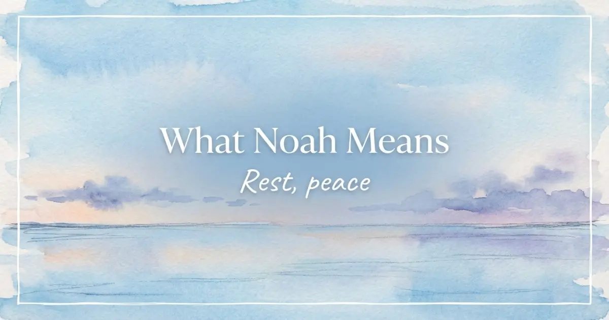 What Noah Means