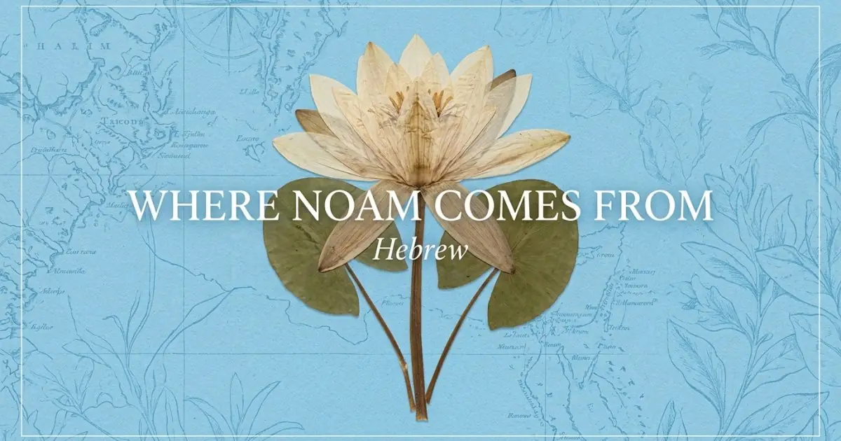 The name Noam comes from: Hebrew